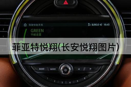 菲亚特悦翔(长安悦翔图片)