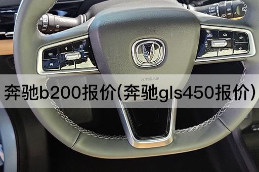 奔驰b200报价(奔驰gls450报价)