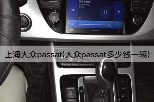 上海大众passat(大众passat多少钱一辆)