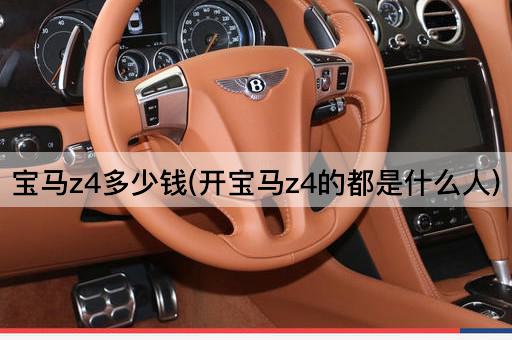 宝马z4多少钱(开宝马z4的都是什么人)