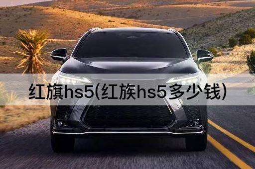 红旗hs5(红族hs5多少钱)