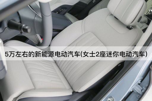 5万左右的新能源电动汽车(女士2座迷你电动汽车)