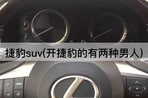 捷豹suv(开捷豹的有两种男人)