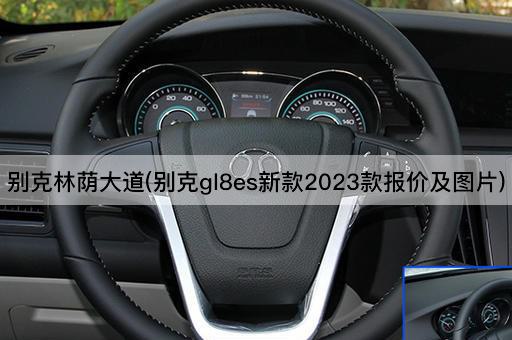 别克林荫大道(别克gl8es新款2023款报价及图片)