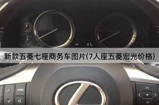 新款五菱七座商务车图片(7人座五菱宏光价格)