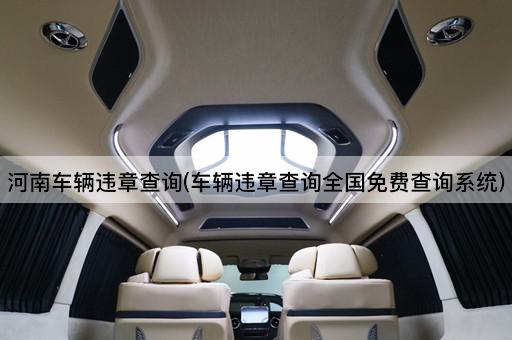 河南车辆违章查询(车辆违章查询全国免费查询系统)