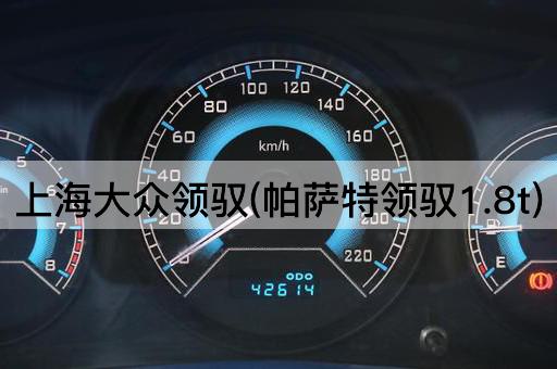 上海大众领驭(帕萨特领驭1.8t)