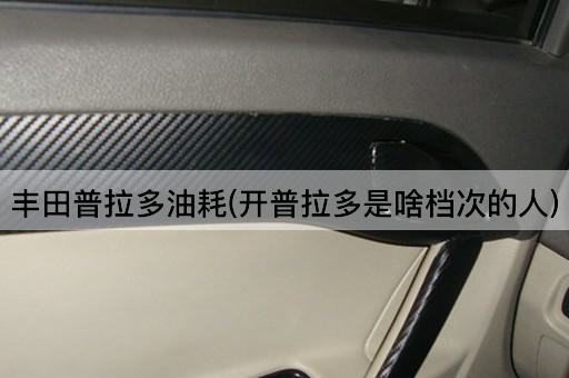 丰田普拉多油耗(开普拉多是啥档次的人)