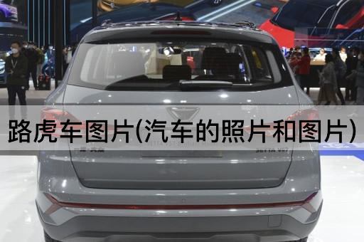 路虎车图片(汽车的照片和图片)
