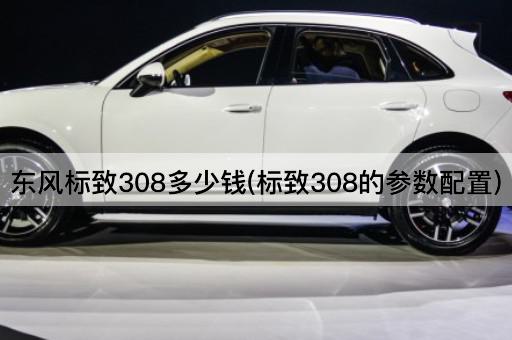 东风标致308多少钱(标致308的参数配置)