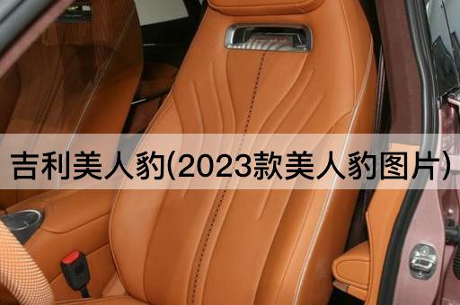 吉利美人豹(2023款美人豹图片)