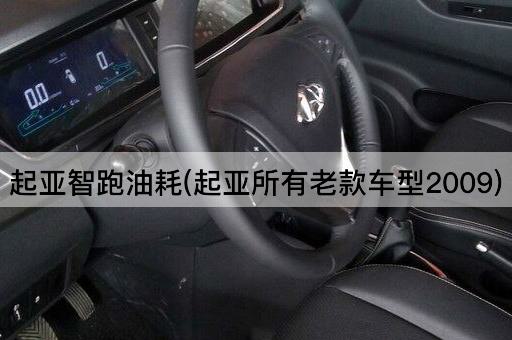 起亚智跑油耗(起亚所有老款车型2009)
