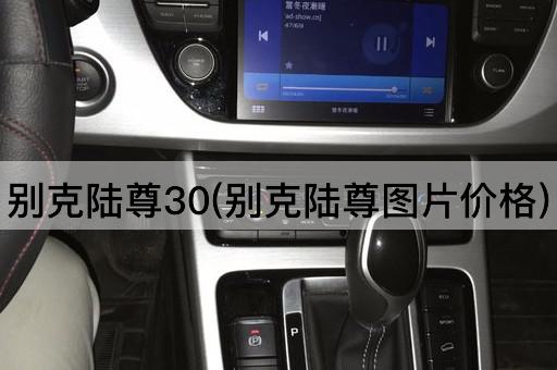别克陆尊30(别克陆尊图片价格)