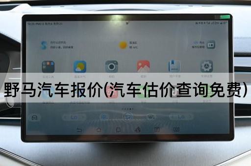 野马汽车报价(汽车估价查询免费)