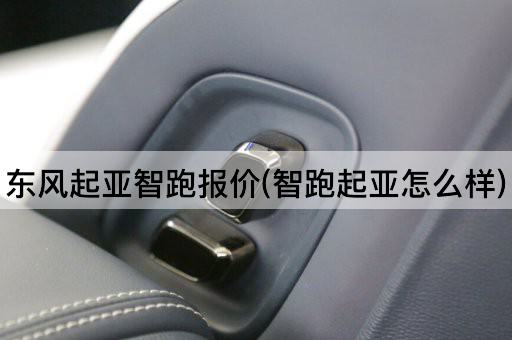 东风起亚智跑报价(智跑起亚怎么样)