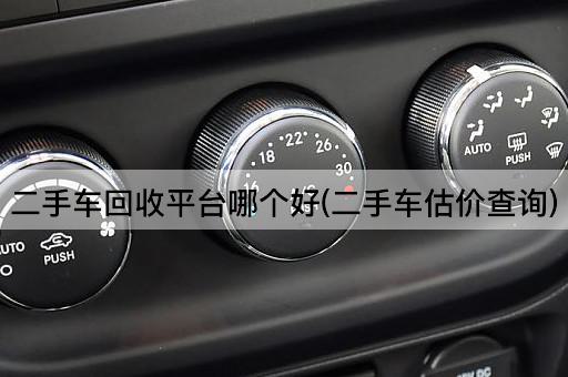 二手车回收平台哪个好(二手车估价查询)