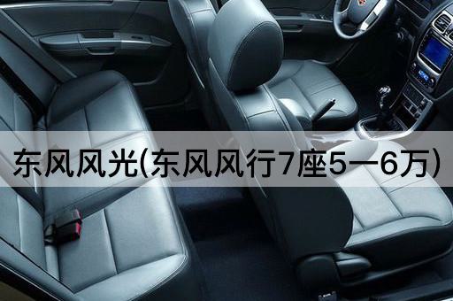 东风风光(东风风行7座5一6万)