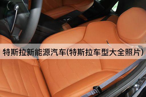 特斯拉新能源汽车(特斯拉车型大全照片)