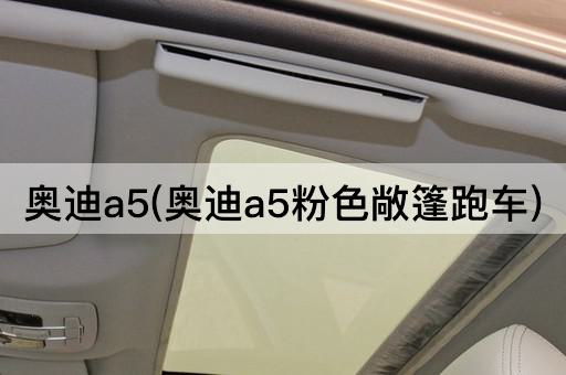 奥迪a5(奥迪a5粉色敞篷跑车)
