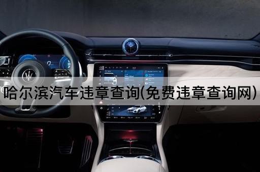 哈尔滨汽车违章查询(免费违章查询网)
