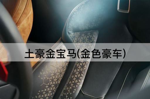 土豪金宝马(金色豪车)