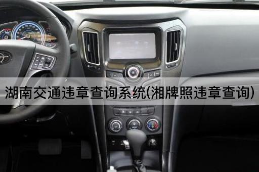 湖南交通违章查询系统(湘牌照违章查询)