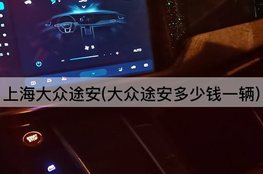 上海大众途安(大众途安多少钱一辆)