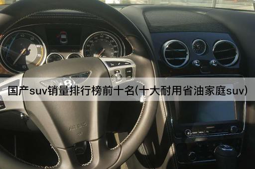 国产suv销量排行榜前十名(十大耐用省油家庭suv)