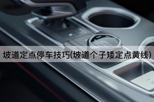 坡道定点停车技巧(坡道个子矮定点黄线)