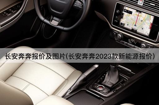 长安奔奔报价及图片(长安奔奔2023款新能源报价)