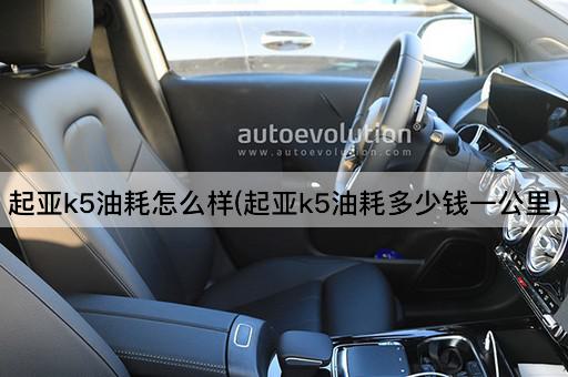 起亚k5油耗怎么样(起亚k5油耗多少钱一公里)