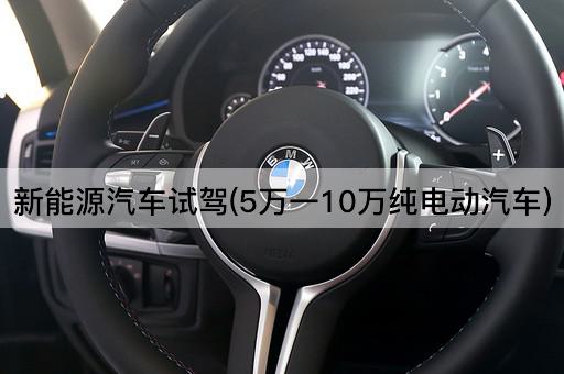 新能源汽车试驾(5万一10万纯电动汽车)