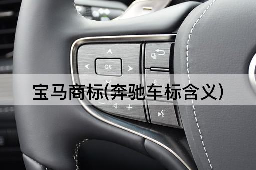 宝马商标(奔驰车标含义)