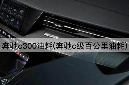 奔驰c300油耗(奔驰c级百公里油耗)
