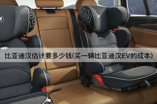 比亚迪汉估计要多少钱(买一辆比亚迪汉EV的成本)