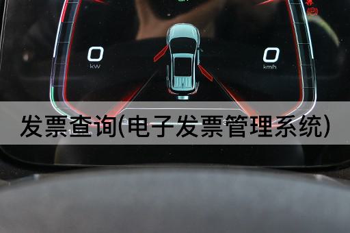 发票查询(电子发票管理系统)