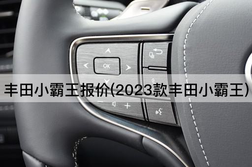 丰田小霸王报价(2023款丰田小霸王)