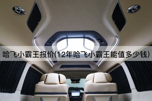 哈飞小霸王报价(12年哈飞小霸王能值多少钱)