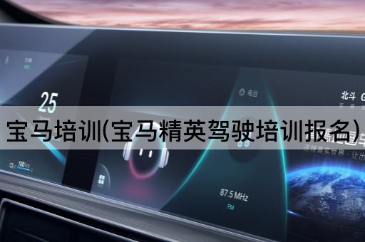 宝马培训(宝马精英驾驶培训报名)