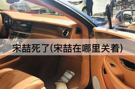 宋喆死了(宋喆在哪里关着)