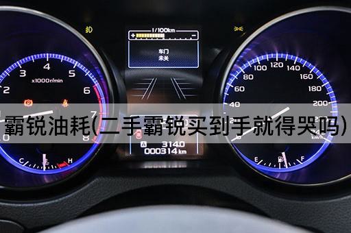 霸锐油耗(二手霸锐买到手就得哭吗)