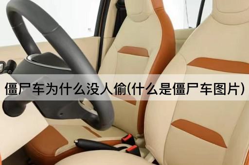 僵尸车为什么没人偷(什么是僵尸车图片)