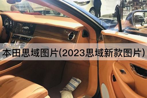 本田思域图片(2023思域新款图片)