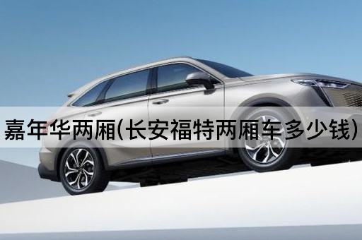 嘉年华两厢(长安福特两厢车多少钱)