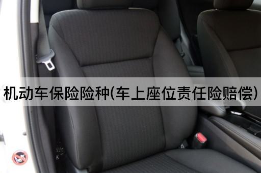 机动车保险险种(车上座位责任险赔偿)