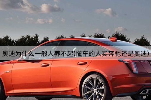 奥迪为什么一般人养不起(懂车的人买奔驰还是奥迪)