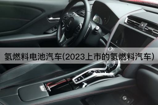 氢燃料电池汽车(2023上市的氢燃料汽车)