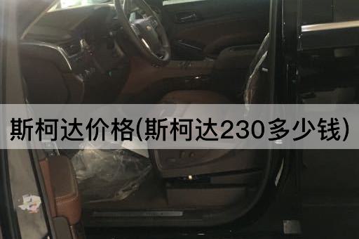 斯柯达价格(斯柯达230多少钱)