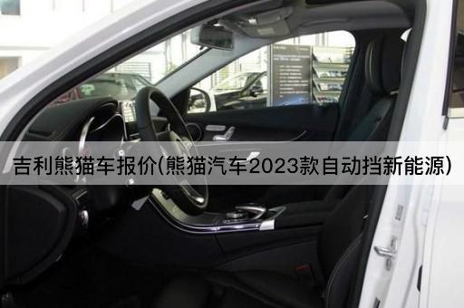 吉利熊猫车报价(熊猫汽车2023款自动挡新能源)