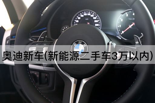 奥迪新车(新能源二手车3万以内)